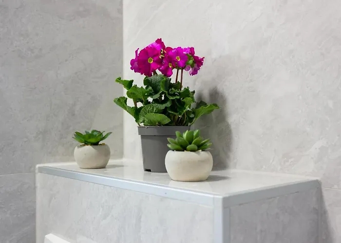 Luxury Petra Apartamento Split