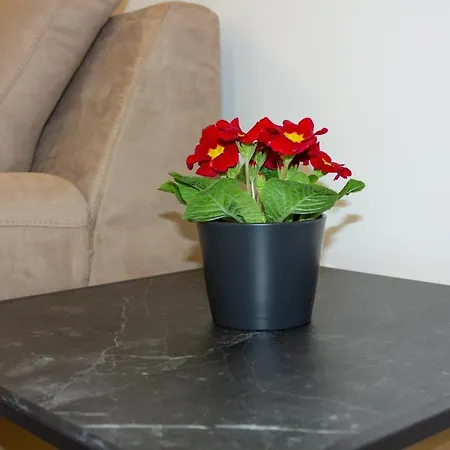 Luxury Petra Διαμέρισμα Σπλιτ