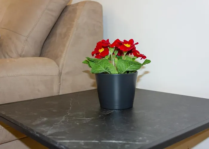 Luxury Petra Apartament Split